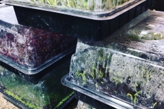 122FF7D7-22D6-4A3D-82BF-BD5DF13B7146