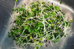 48018EAA-86C7-42AB-B996-EAE5417EE44B