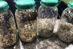 57607994952__546C9E18-3A1B-4447-987C-1C6D4ECC1BAF